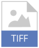 tiff